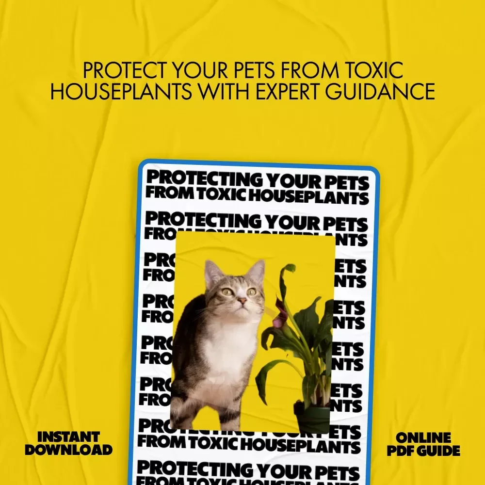 Protecting Your Pets from Toxic Houseplants: A Must-Have Guide for Pet Owners