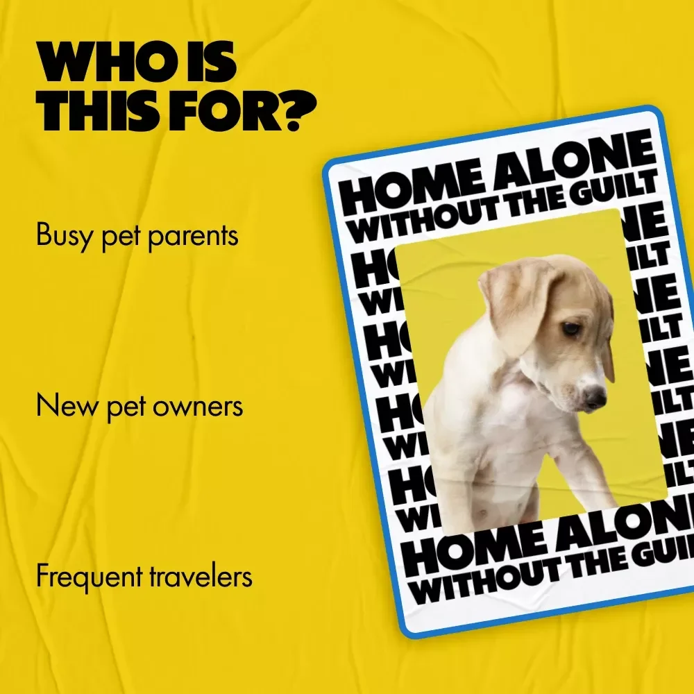 Home Alone Without the Guilt | A Smart, Modern Guide Answering how long can i leave my pet alone for Busy, Caring Pet Parents