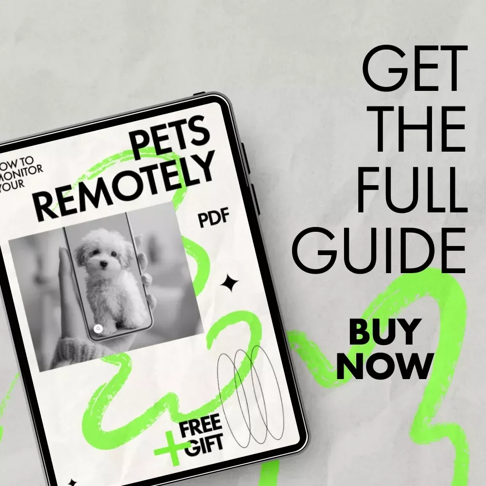 How to Monitor Your Pets Remotely – Smart AI Pet Monitoring Guide for Busy Pet Owners, Learn how to monitor pets remotely with Confidence