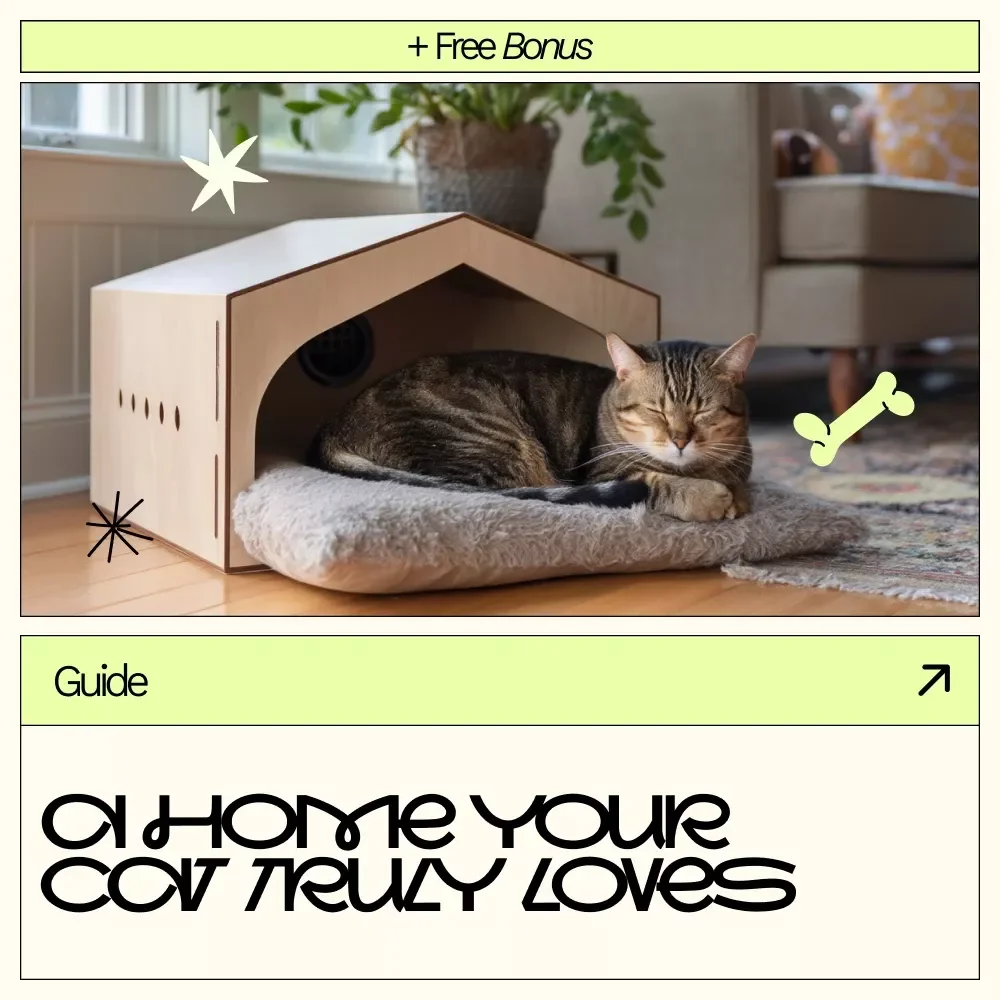 A Home Your Cat Truly Loves – Practical Guide with Cat Friendly Home Layout Ideas for a Calm, Happy Indoor Cat
