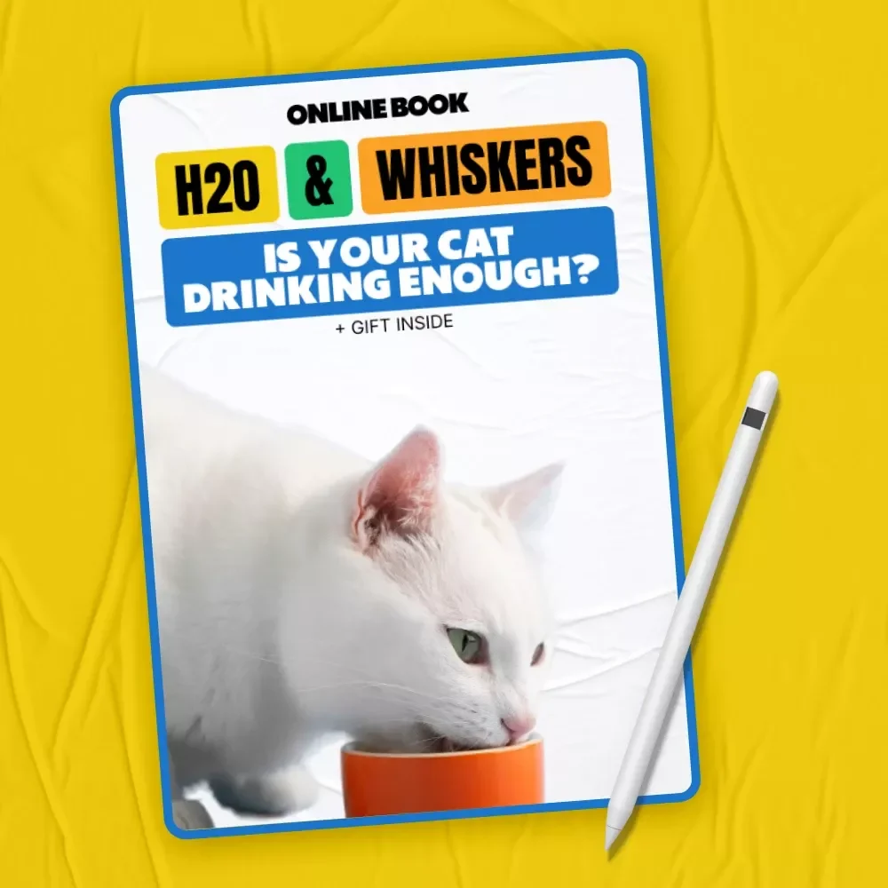 H2O & Whiskers: Is Your Cat Drinking Enough – A Practical eBook Guide for Cat Owners