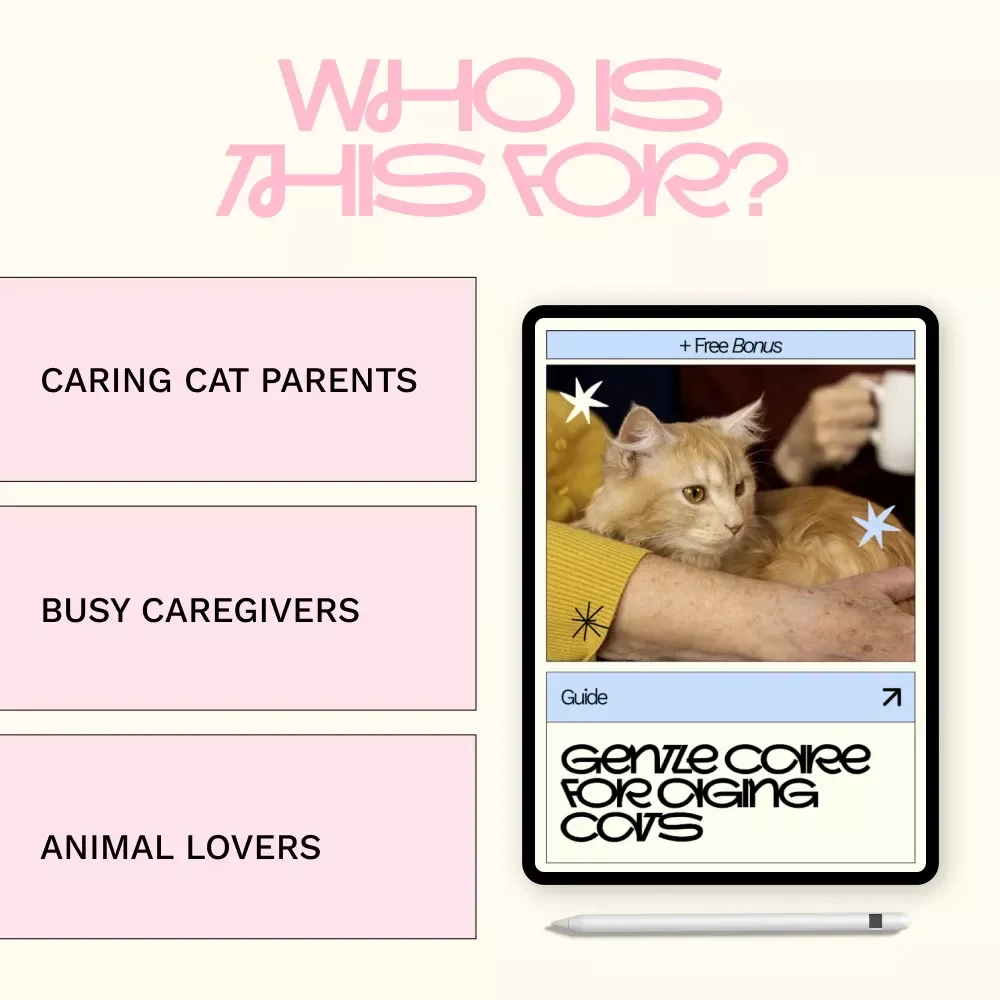 Gentle Care for Aging Cats – A Practical Guide to Senior Cat Care at Home | Comfort, Health & Emotional Support
