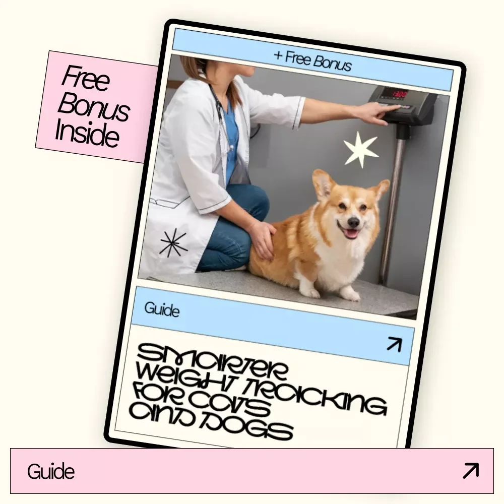 Smarter Weight Tracking for Cats and Dogs – Practical Guide with Cat and Dog Weight Tracker Tool Ideas for Healthier Pets