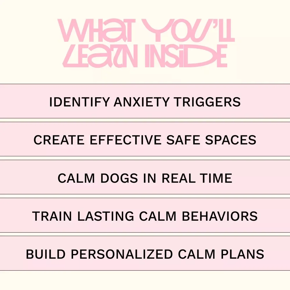 Helping Your Dog Stay Calm During Storms | Ebook for a Dog Afraid of Thunderstorms | Anxiety Relief Guide, Calming Training & Proven Techniques