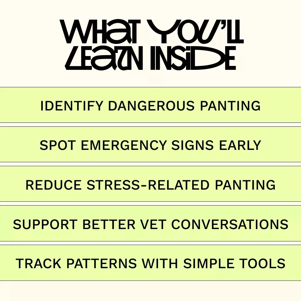 Understanding Nonstop Dog Panting – A Practical Digital Guide for Dog Owners, Pet Parents & Canine Health Awareness