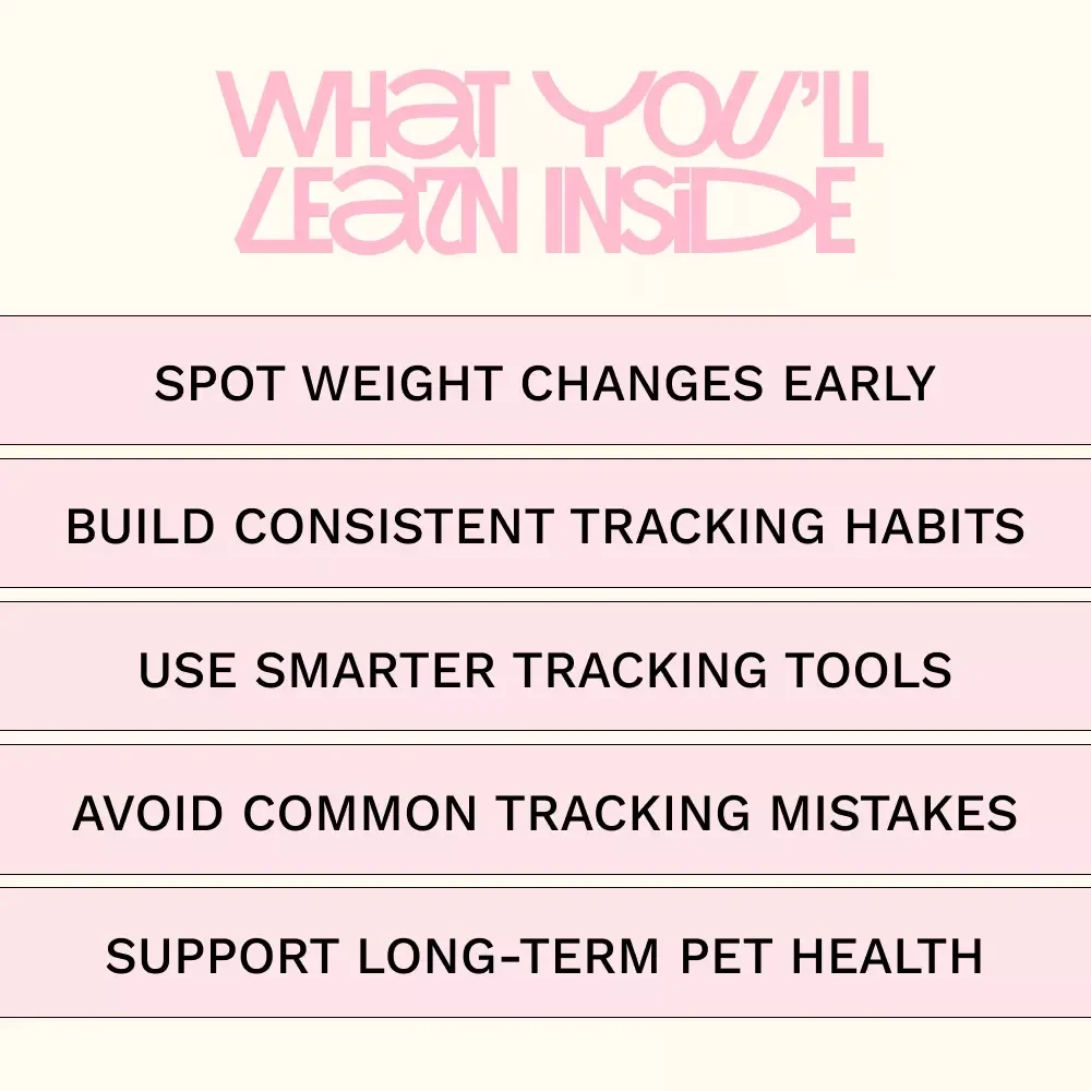 Smarter Weight Tracking for Cats and Dogs – Practical Guide with Cat and Dog Weight Tracker Tool Ideas for Healthier Pets