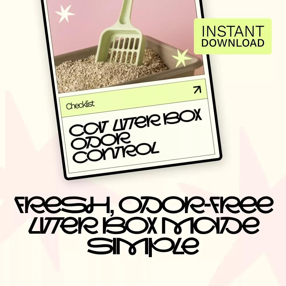 Cat Litter Box Odor Control | Simple Checklist with Cat Litter Box Odor Control Tips for a Fresher Home