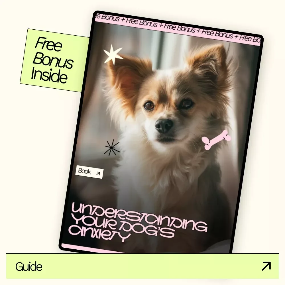 Understanding Your Dog’s Anxiety – Digital Guide to Canine Anxiety, Stress Signals, Behavior, and Calm Training Strategies