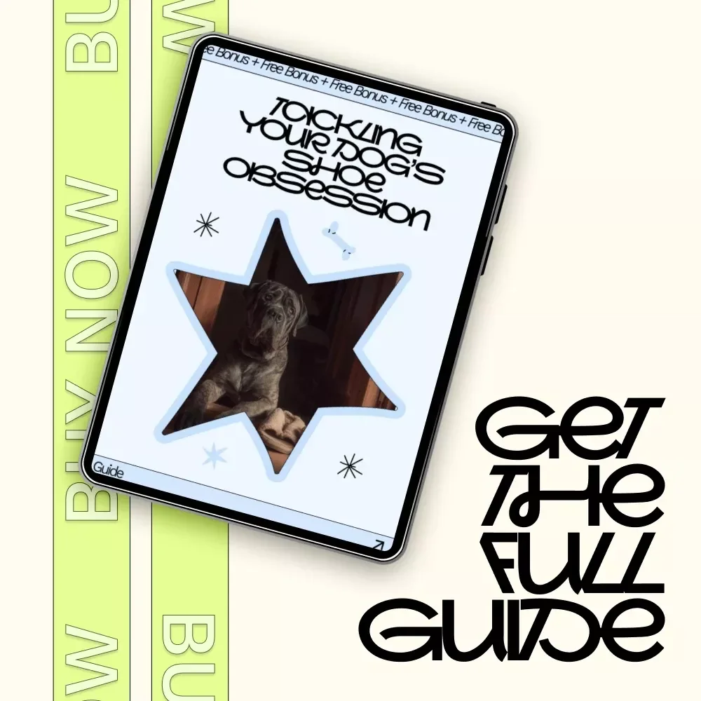 Tackling Your Dog’s Shoe Obsession – Practical Guide to Solving the Dog Chewing Shoes Problem