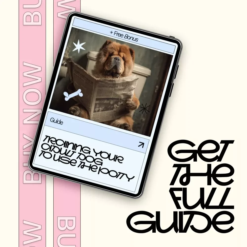 Training Your Adult Dog to Use the Potty – Step-by-Step Guide for How to Potty Train Adult Dog with Proven Techniques, Schedules, and AI Tools