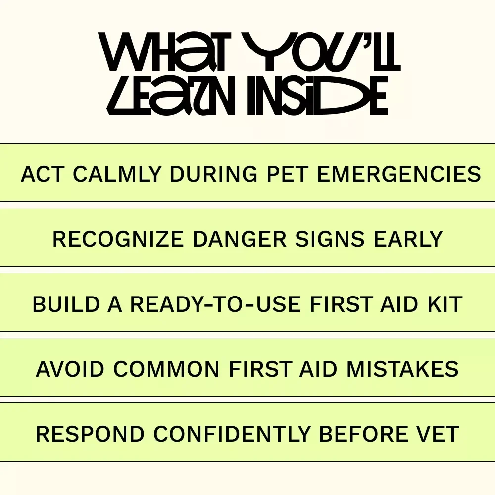 Essential Pet First Aid for Every Owner | Pet Emergency Guide, Pet First Aid Checklist, Dog & Cat Safety eBook, Instant Digital Download