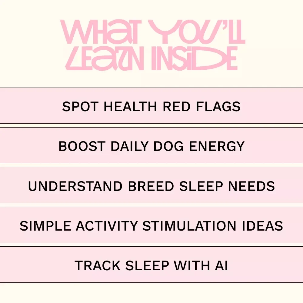 Understanding Why Your Dog Sleeps All Day | Digital Guide for Pet Parents Wondering why does my dog sleep all day | Dog Sleep Behavior & Health Insights
