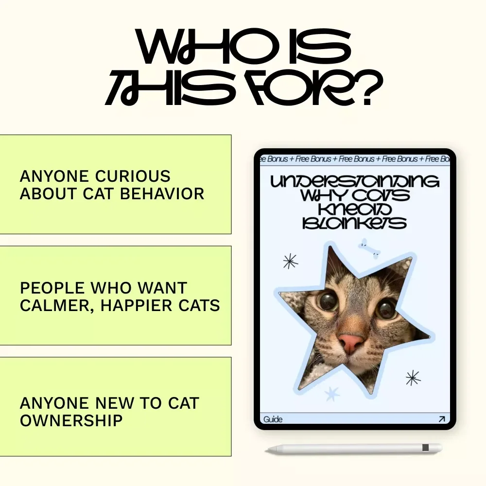 Understanding Why Cats Knead Blankets | Digital Guide for Cat Lovers | why cats knead blankets Explained