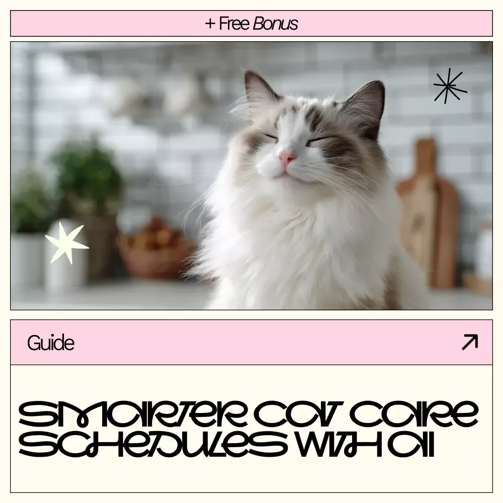 Smarter Cat Care Schedules With AI – Practical Guide with ai prompts to create cat care schedule for Daily Feeding, Grooming & Stress-Free Routines