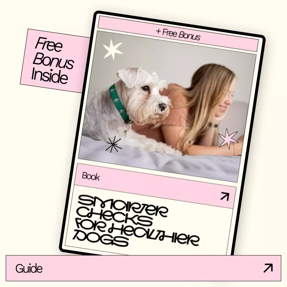 Smarter Checks for Healthier Dogs – AI Dog Wellness Guide Ebook, Dog Health Scan With AI Explained, Modern Pet Care Checklist