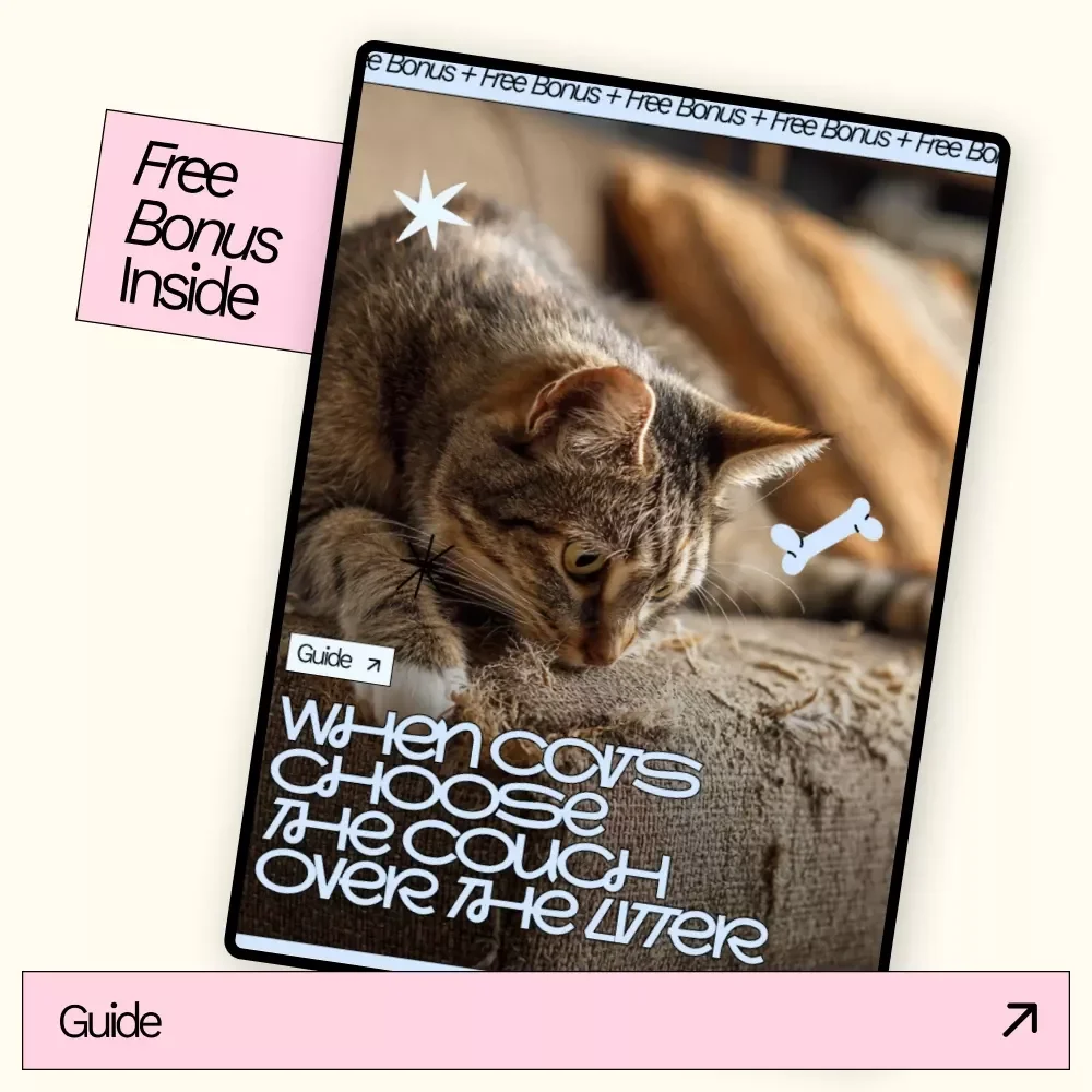 When Cats Choose the Couch Over the Litter | Cat Peeing Outside the Litter Box Guide | Cat Behavior eBook | Litter Training Help | Digital Download