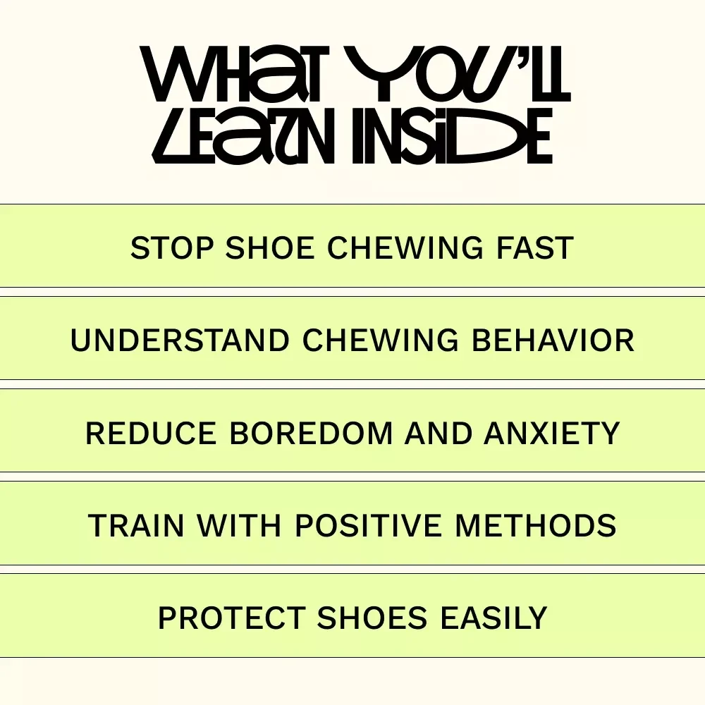 Tackling Your Dog’s Shoe Obsession – Practical Guide to Solving the Dog Chewing Shoes Problem