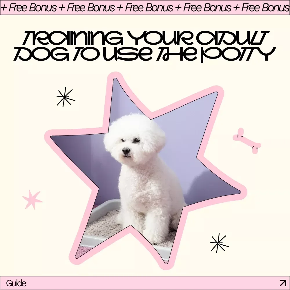 Training Your Adult Dog to Use the Potty – Step-by-Step Guide for How to Potty Train Adult Dog with Proven Techniques, Schedules, and AI Tools