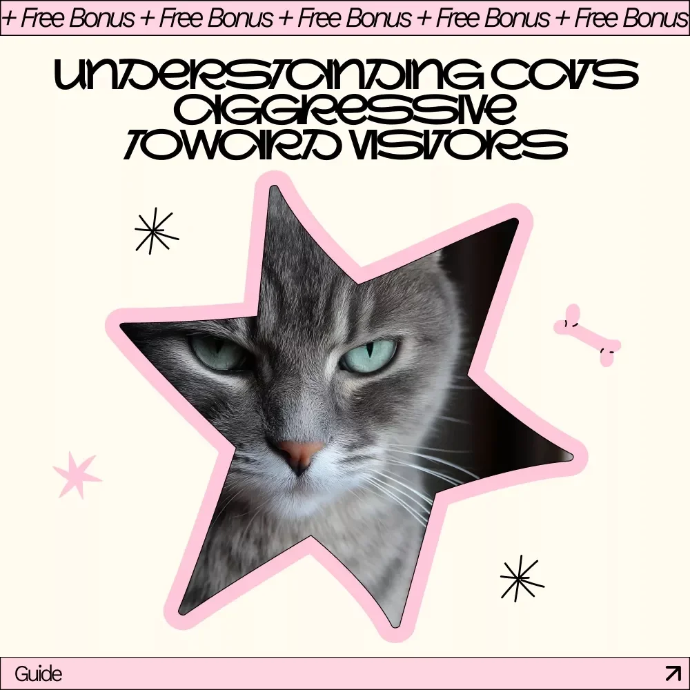 Understanding Cats Aggressive Toward Visitors | Practical eBook Guide for Cat Owners Dealing With Cat Aggressive Toward Visitors Behavior