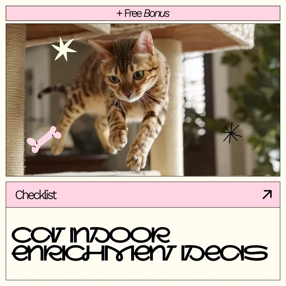Cat Indoor Enrichment Ideas Checklist | Simple & Fun cat indoor enrichment ideas for Happy, Healthy Indoor Cats | Digital Download