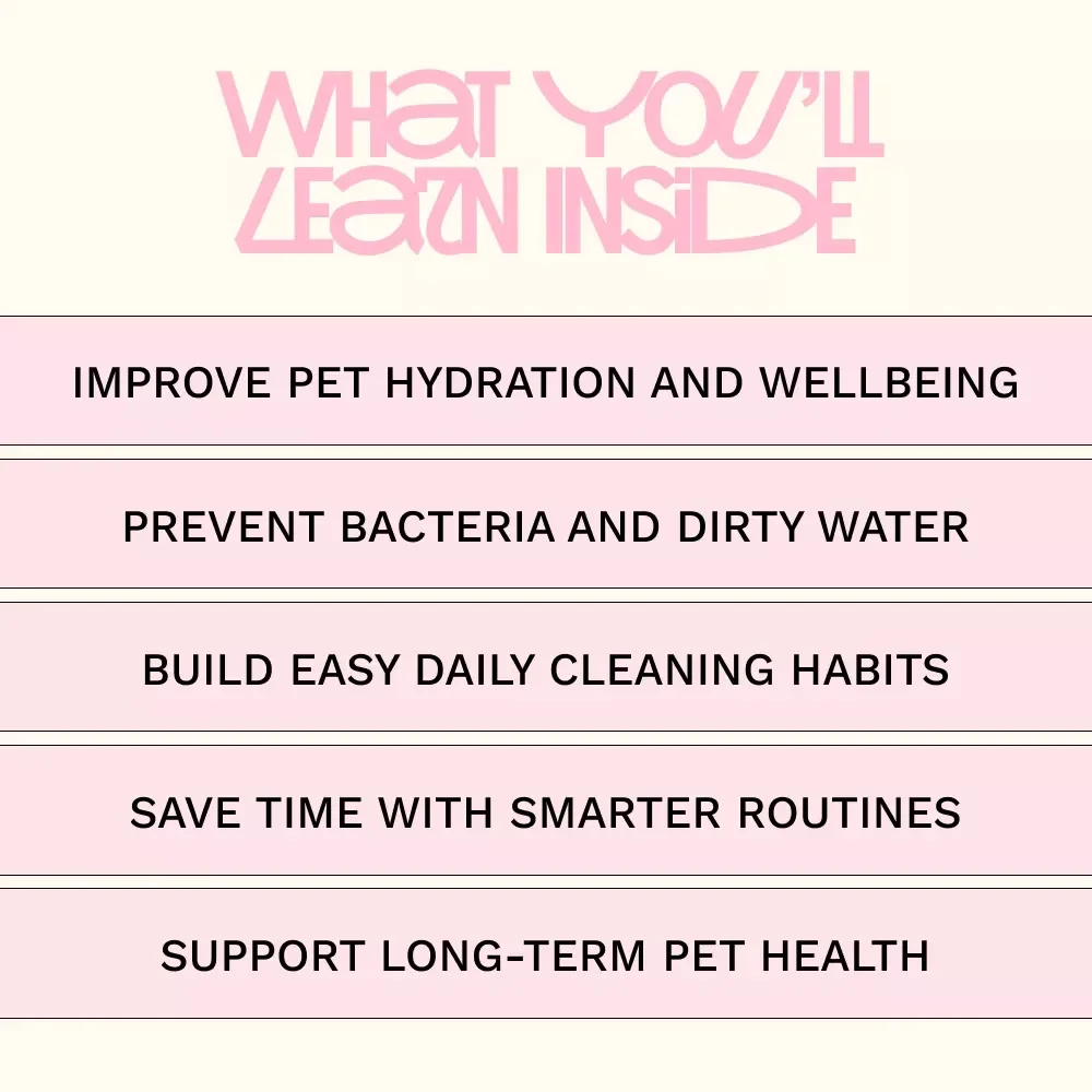 Clean Water Happy Pets – A Practical Guide with Pet Water Station Maintenance Tips for Healthier, Happier Dogs & Cats