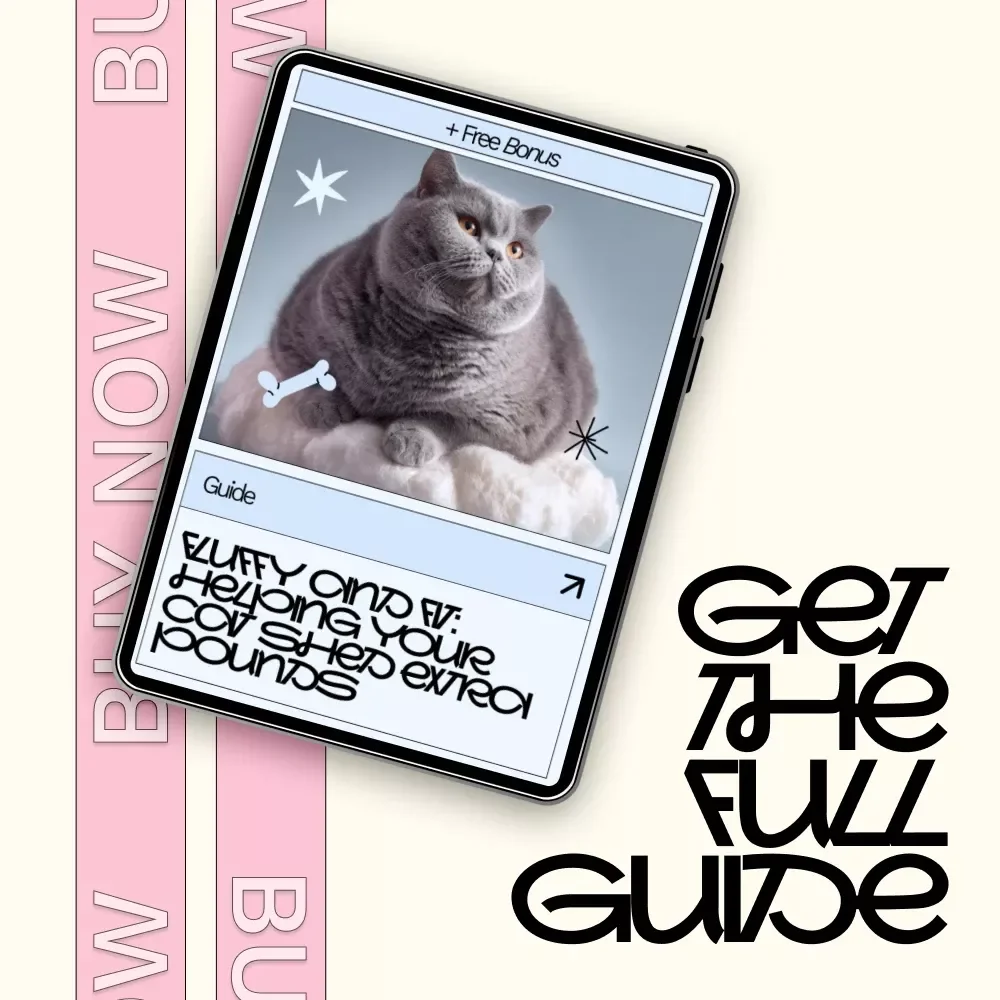 Fluffy and Fit: Helping Your Cat Shed Extra Pounds – A Practical Digital Guide for Pet Parents