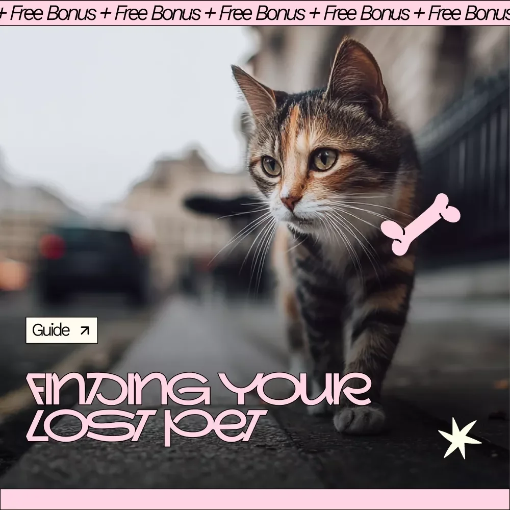 Finding Your Lost Pet – Lost Pet Guide eBook, Digital Download Checklist for Missing Dog or Cat, Pet Recovery Search Plan