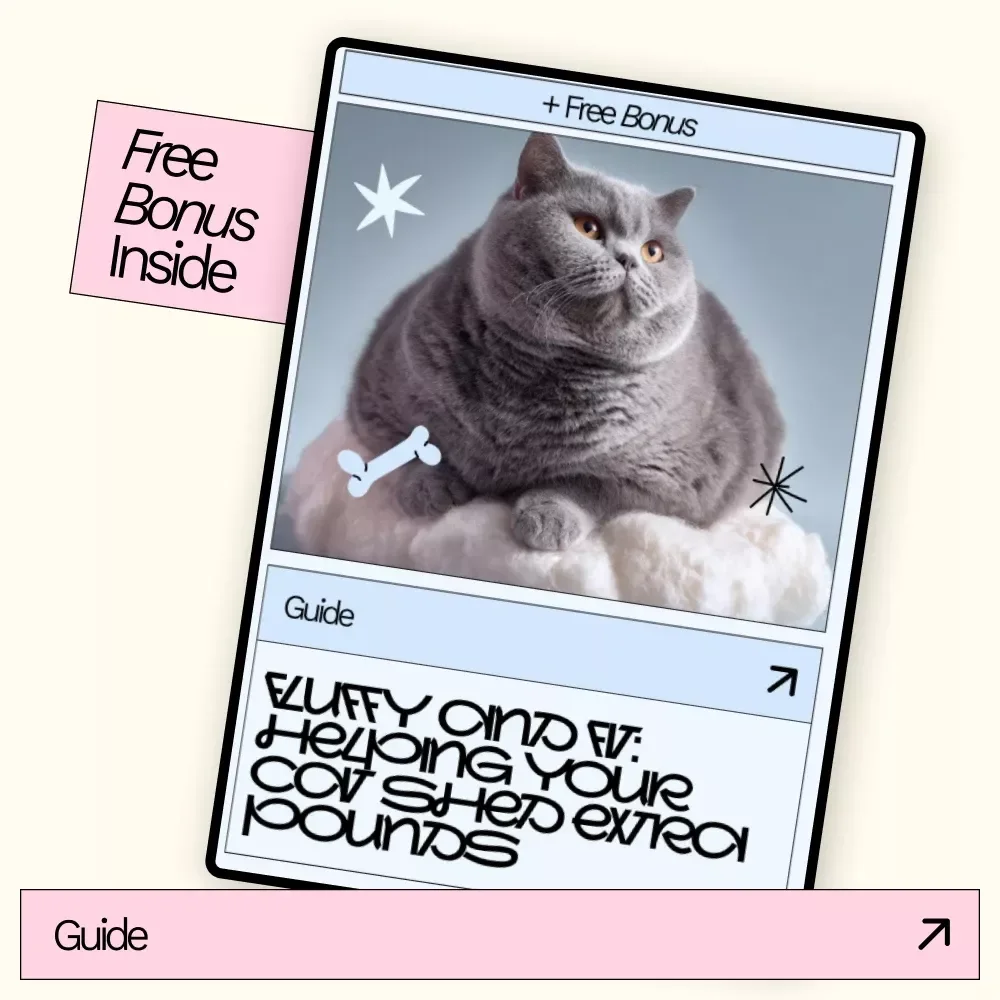 Fluffy and Fit: Helping Your Cat Shed Extra Pounds – A Practical Digital Guide for Pet Parents