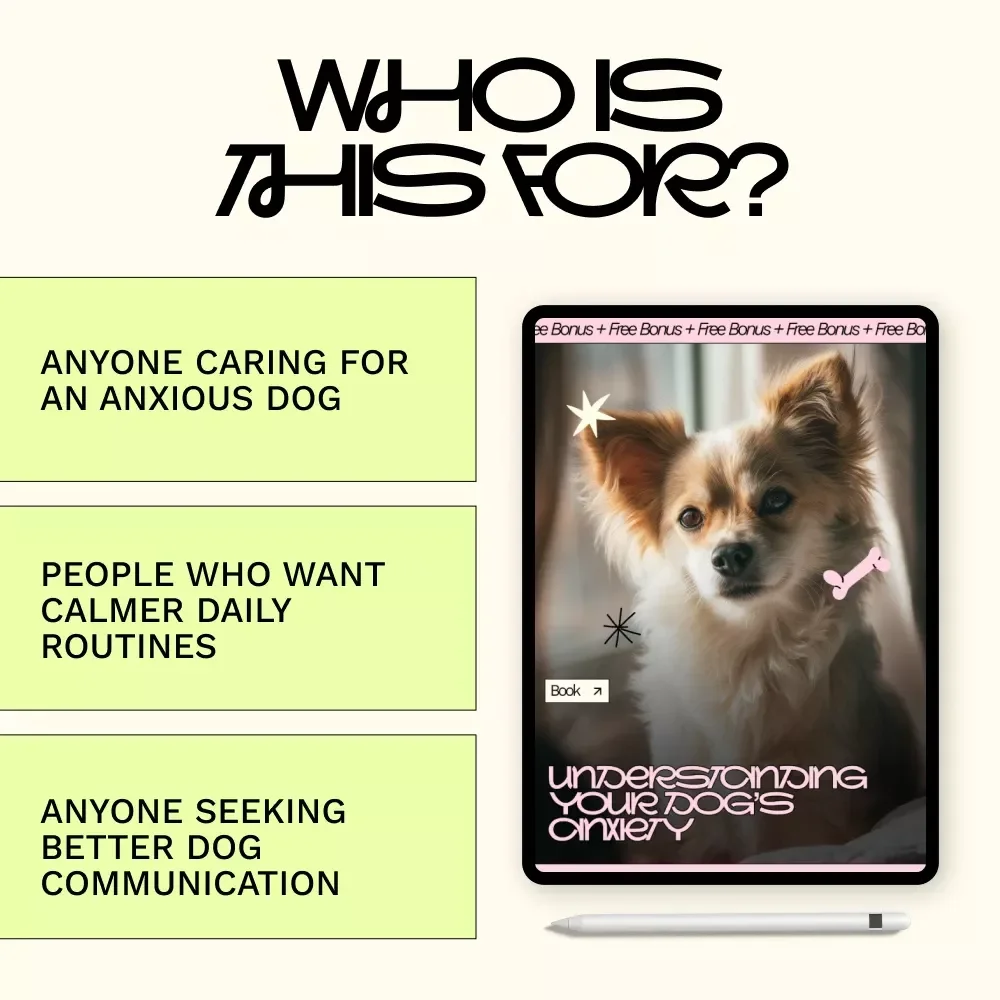 Understanding Your Dog’s Anxiety – Digital Guide to Canine Anxiety, Stress Signals, Behavior, and Calm Training Strategies