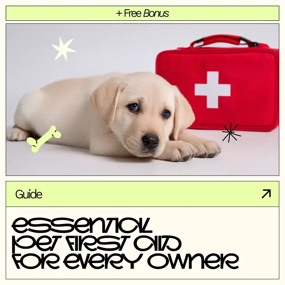 Essential Pet First Aid for Every Owner | Pet Emergency Guide, Pet First Aid Checklist, Dog & Cat Safety eBook, Instant Digital Download