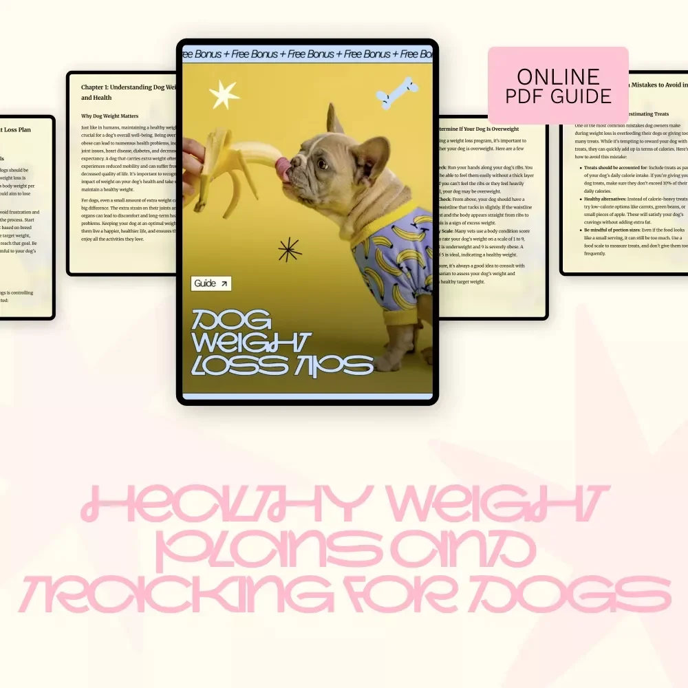 Dog Weight Loss Tips | Easy & Healthy Guide for Happy Dogs | Practical Dog Weight Loss Diet Tips for Pet Parents
