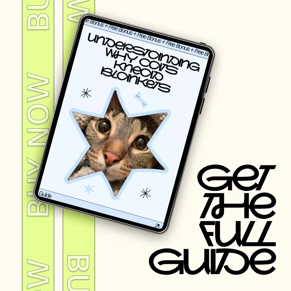 Understanding Why Cats Knead Blankets | Digital Guide for Cat Lovers | why cats knead blankets Explained