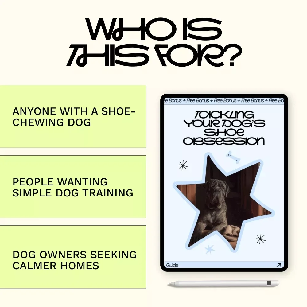 Tackling Your Dog’s Shoe Obsession – Practical Guide to Solving the Dog Chewing Shoes Problem