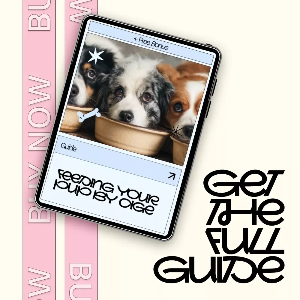 Feeding Your Pup by Age – Puppy Feeding Guide, Dog Nutrition eBook, Puppy Food Checklist, New Puppy Care Digital Download