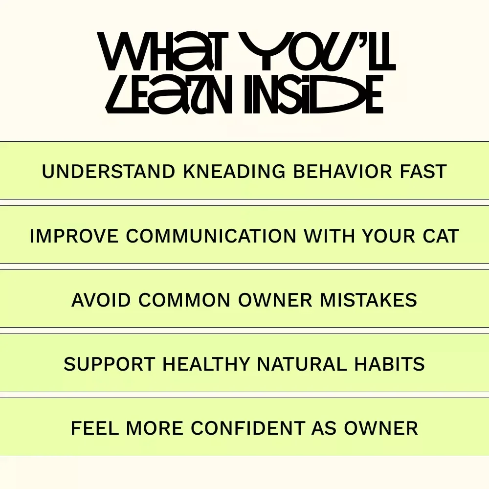 Understanding Why Cats Knead Blankets | Digital Guide for Cat Lovers | why cats knead blankets Explained