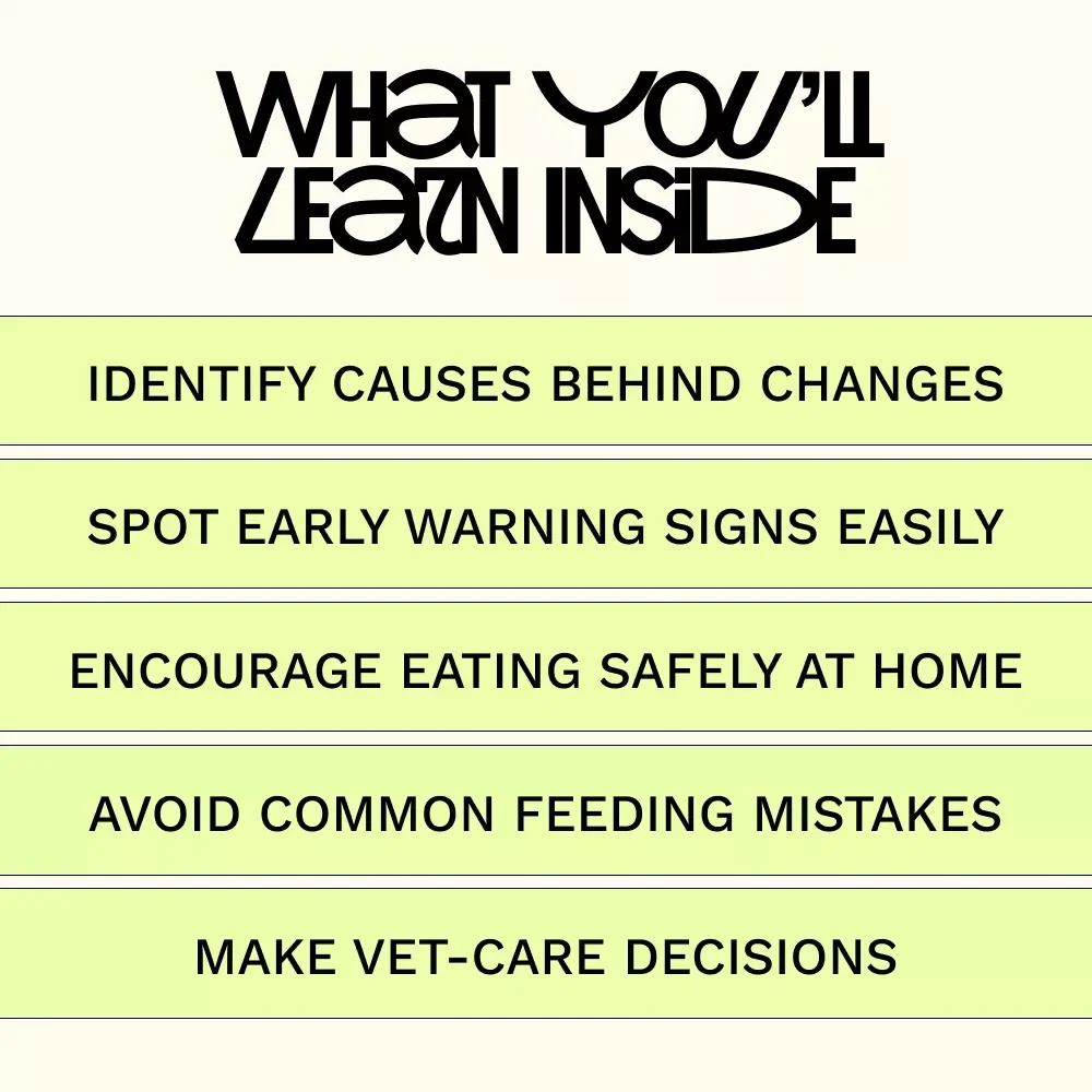 When Whiskers Won’t Eat – A Practical Cat Appetite Guide for Worried Pet Parents, Loss of Appetite Solutions, Digital eBook Download