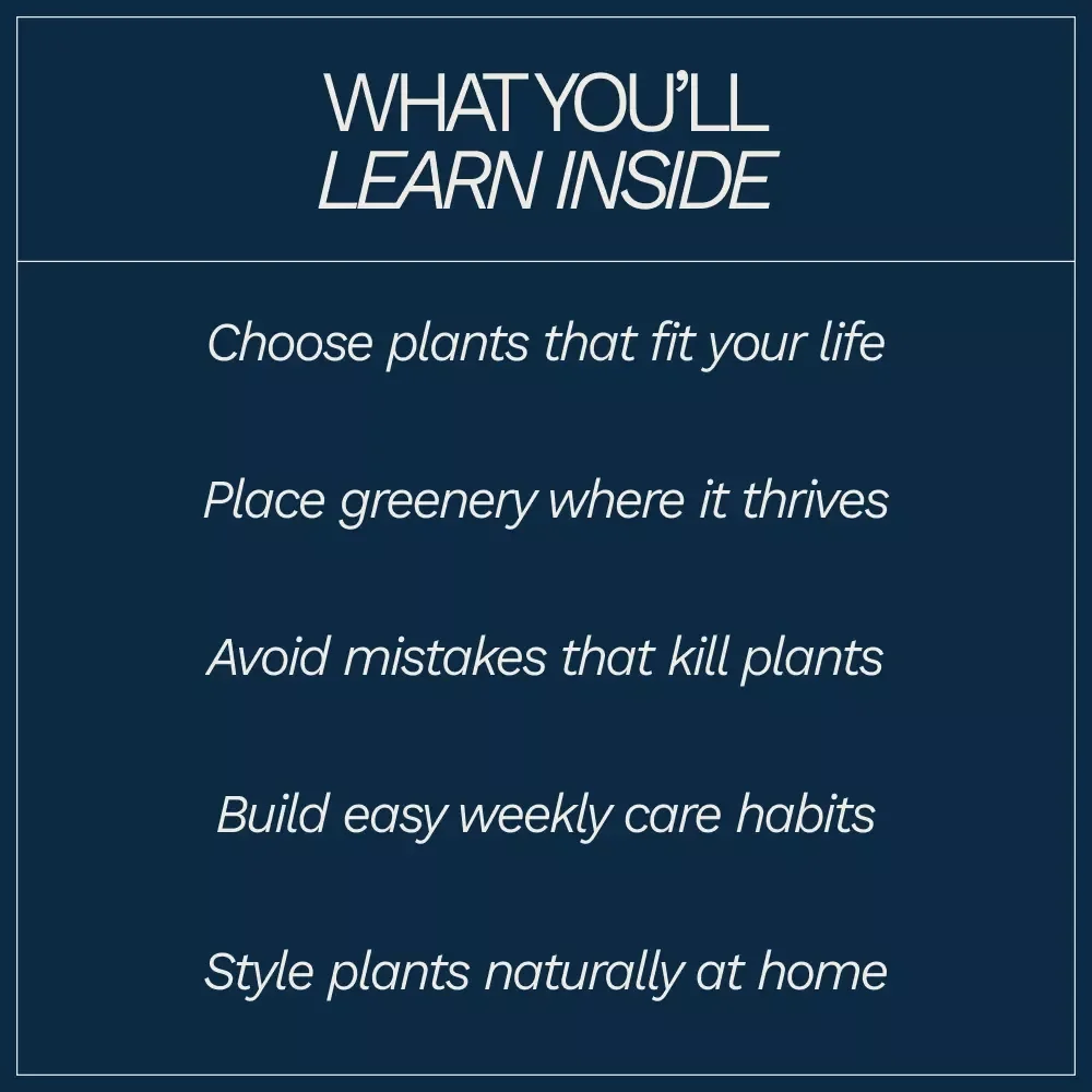 How to Add Greenery Indoors Easily – Beginner-Friendly Indoor Plant Guide, Simple Home Greenery eBook, Low Maintenance Plant Styling & Care