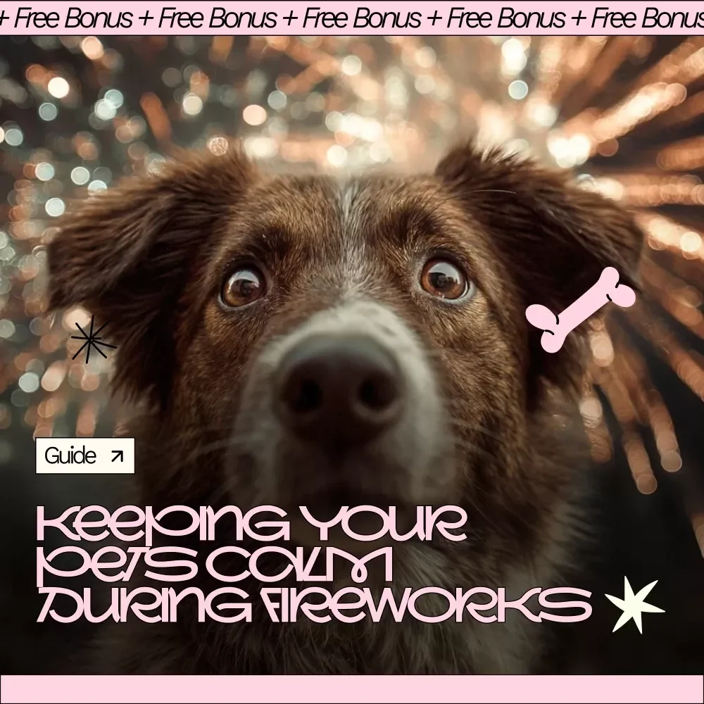 Keeping Your Pets Calm During Fireworks | Practical eBook Guide on How to Keep Pets Calm During Fireworks | Stress-Free Tips for Dogs, Cats & Small Pets