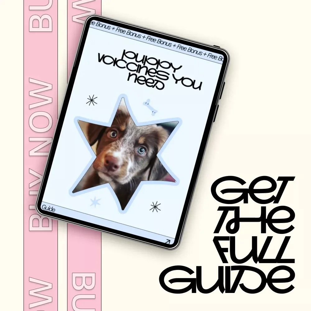 Puppy Vaccines You Need – Essential Puppy Health Guide | What Vaccines Does My Puppy Need | New Puppy Checklist & Vet-Approved Schedule