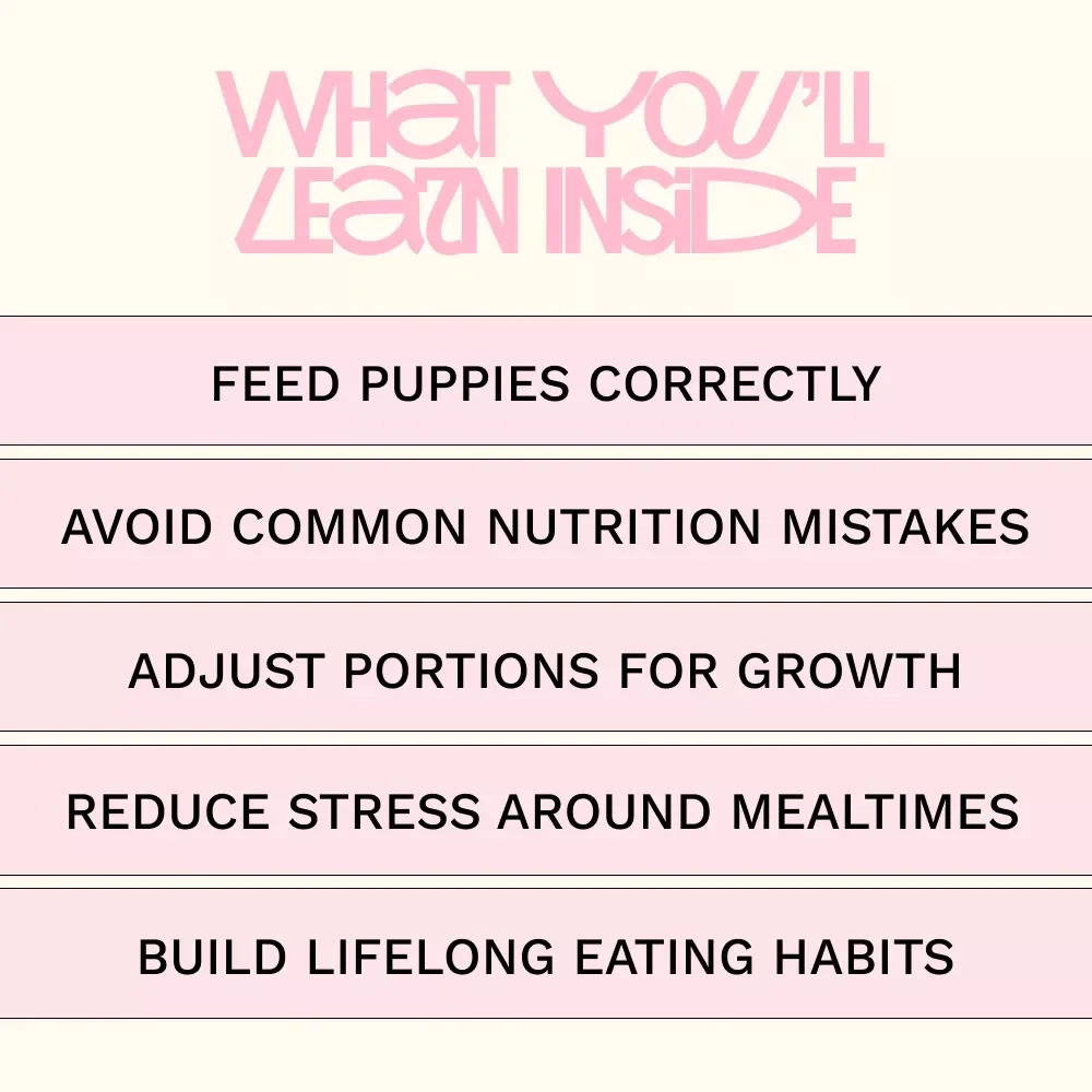 Feeding Your Pup by Age – Puppy Feeding Guide, Dog Nutrition eBook, Puppy Food Checklist, New Puppy Care Digital Download