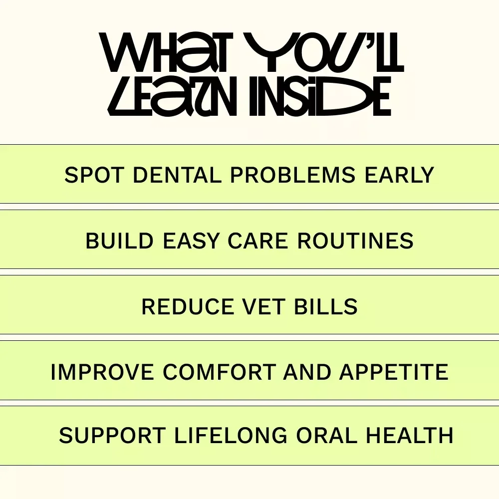 Healthy Teeth Happy Cats – Cat Dental Care Guide, Feline Oral Health eBook, Easy Home Dental Routine Checklist, Digital Download for Cat Owners