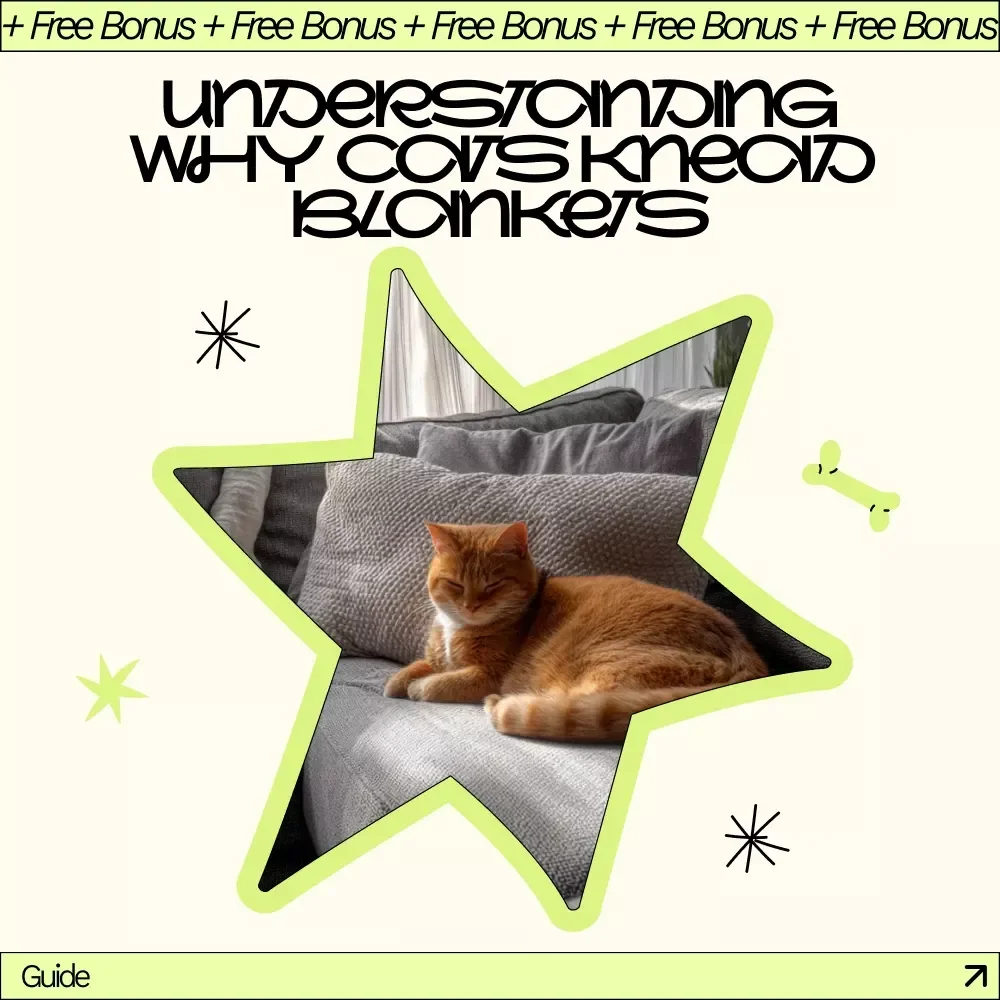 Understanding Why Cats Knead Blankets | Digital Guide for Cat Lovers | why cats knead blankets Explained