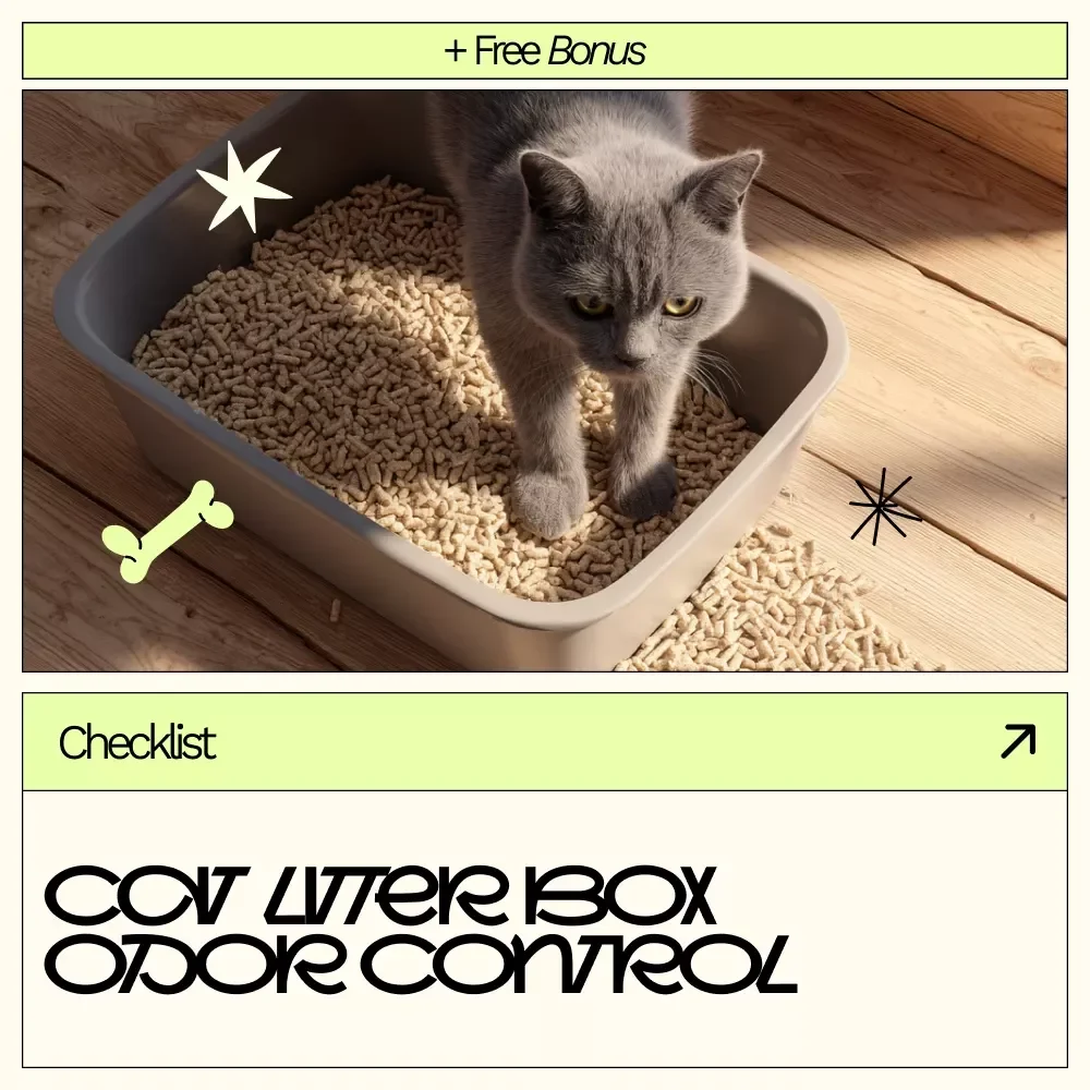 Cat Litter Box Odor Control | Simple Checklist with Cat Litter Box Odor Control Tips for a Fresher Home