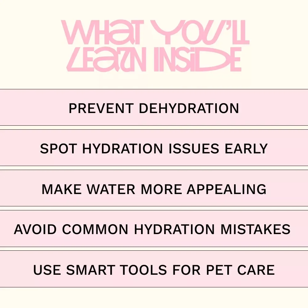 Keep Your Pet Hydrated This Summer | Pet Hydration Guide for Dogs & Cats | Summer Pet Care Digital Download, eBook & Checklist