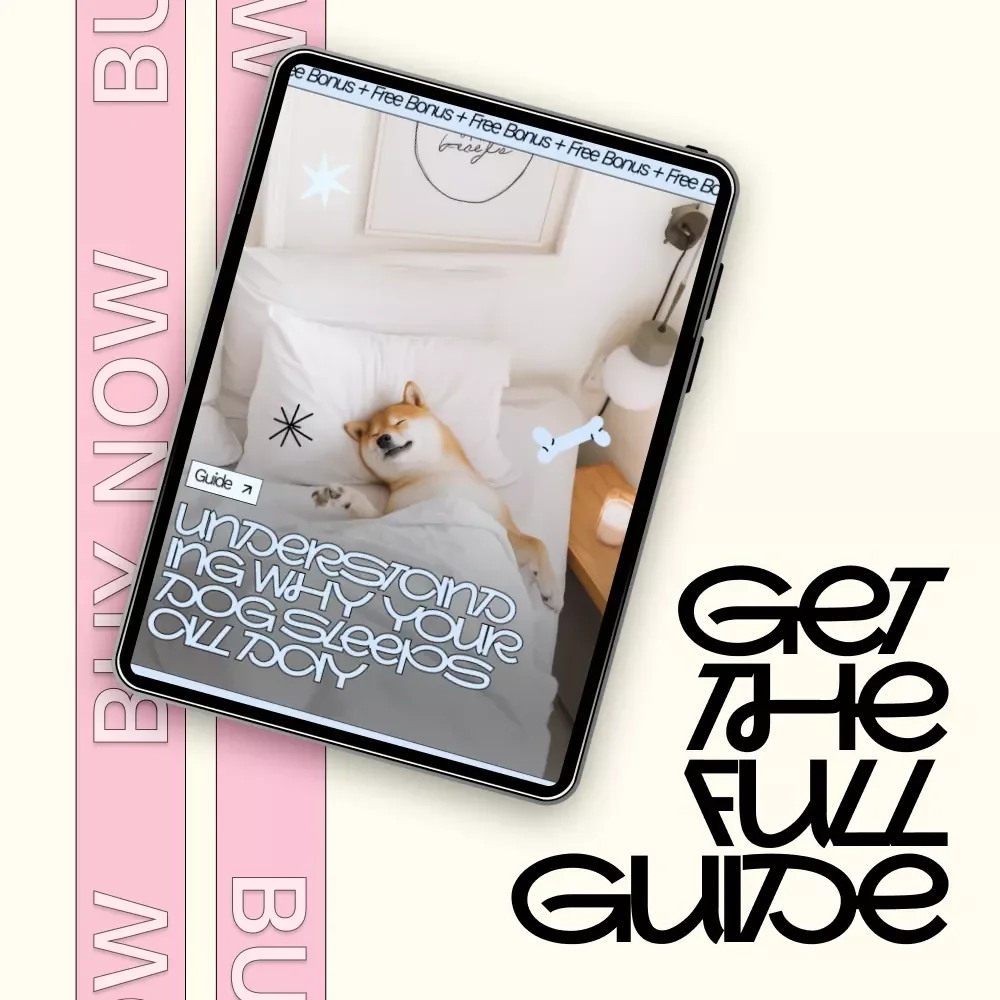 Understanding Why Your Dog Sleeps All Day | Digital Guide for Pet Parents Wondering why does my dog sleep all day | Dog Sleep Behavior & Health Insights