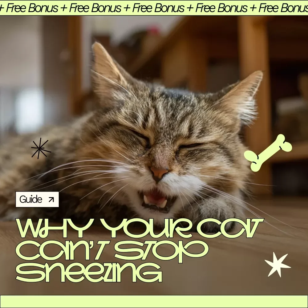 Understanding Why Your Cat Can’t Stop Sneezing – Complete eBook Guide to Cat Sneezing Frequently Causes, Symptoms, and At-Home Solutions