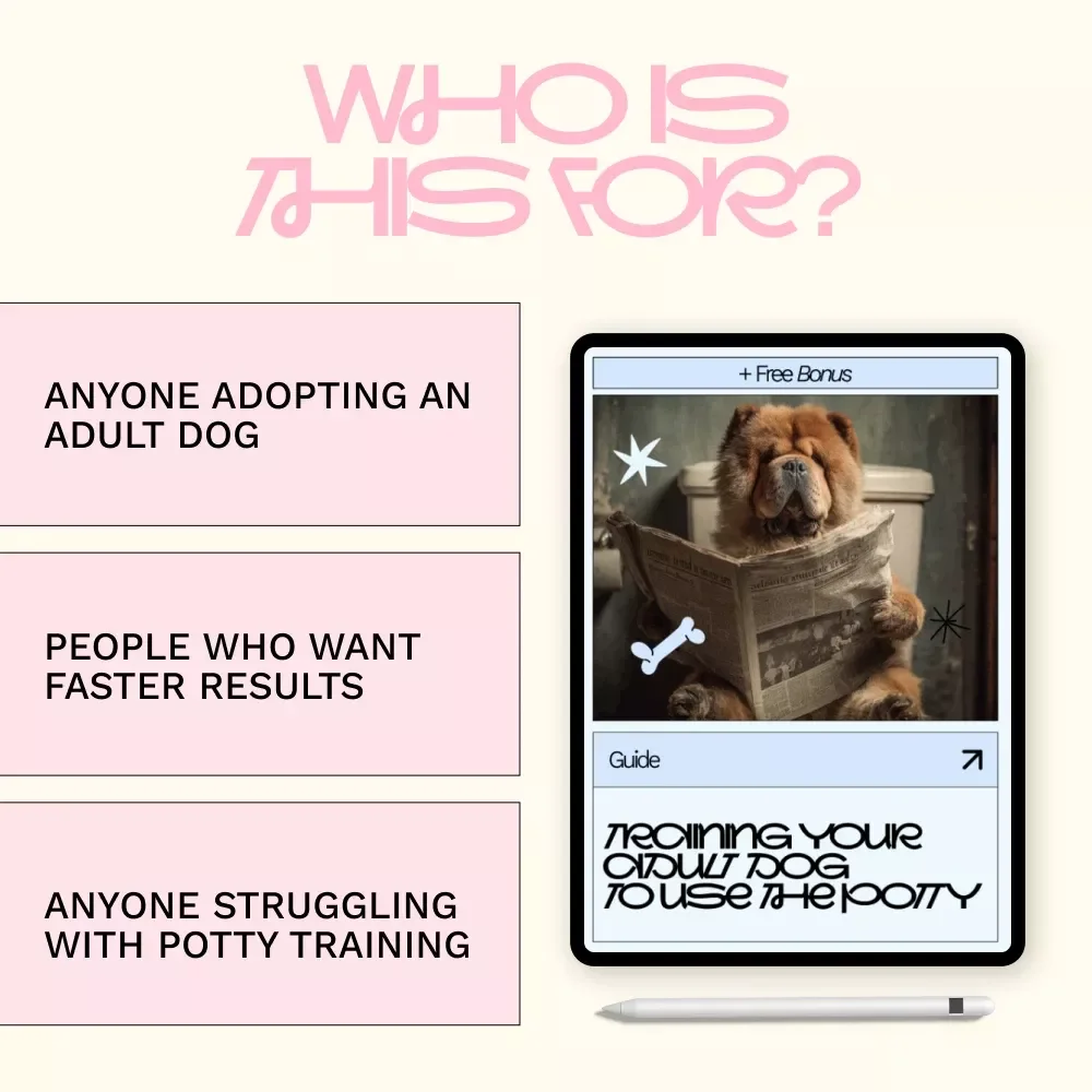 Training Your Adult Dog to Use the Potty – Step-by-Step Guide for How to Potty Train Adult Dog with Proven Techniques, Schedules, and AI Tools