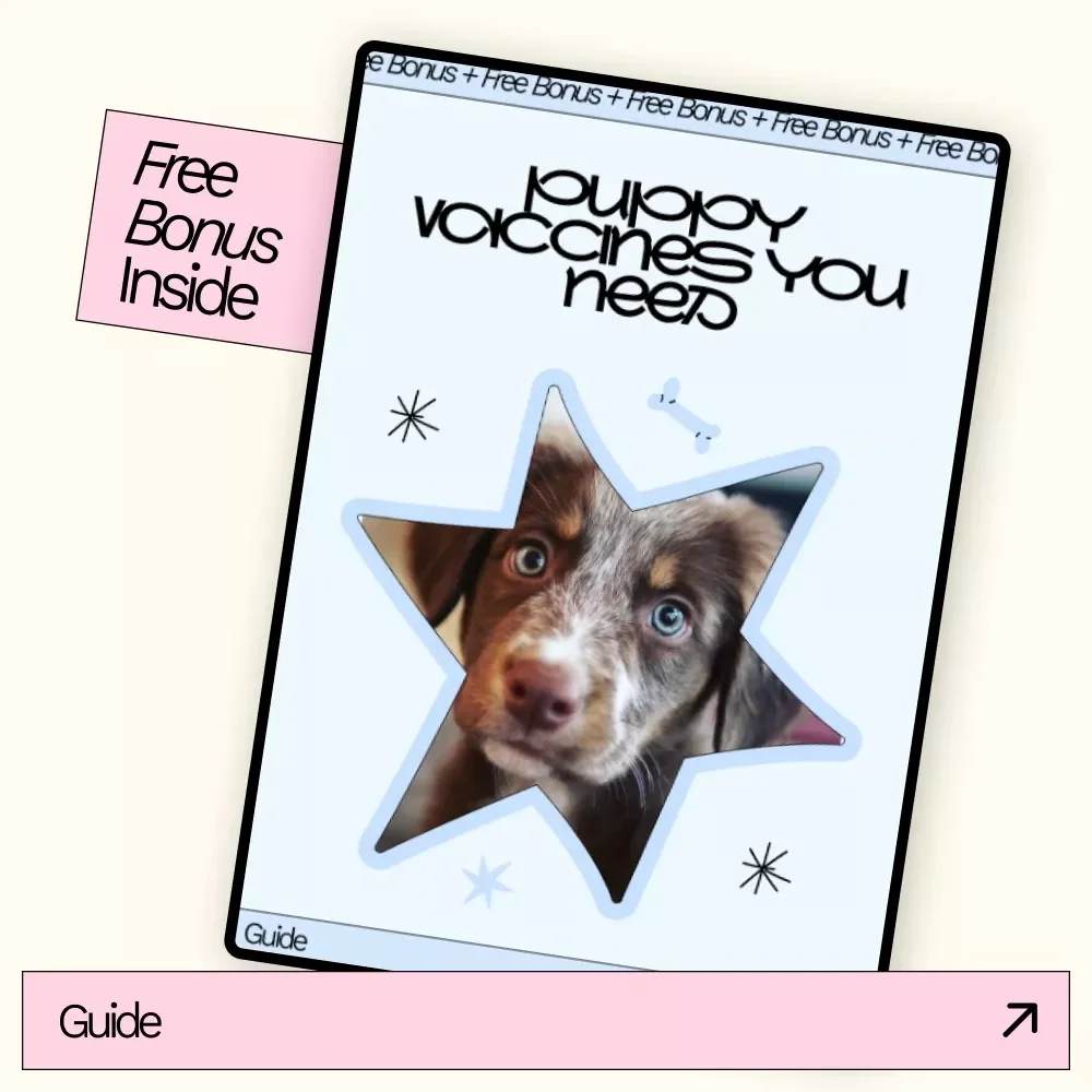 Puppy Vaccines You Need – Essential Puppy Health Guide | What Vaccines Does My Puppy Need | New Puppy Checklist & Vet-Approved Schedule
