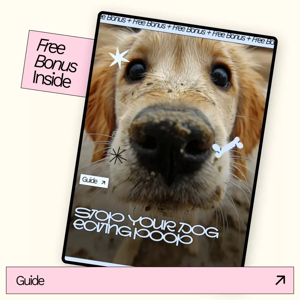 Stop Your Dog Eating Poop – Practical Dog Training Guide, Coprophagia Solution eBook, Puppy Behavior Fix Checklist, Positive Reinforcement Training Download