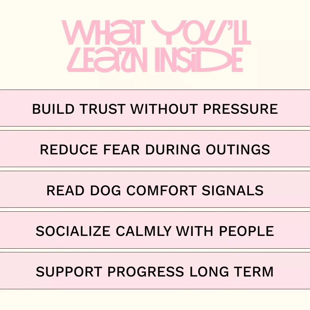 Helping Shy Dogs Feel Safe: A Gentle Ebook Guide on how to socialize a shy dog with Confidence & Trust